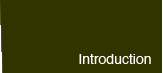 'Introduction' button